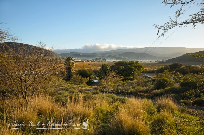 Montagu valley view
