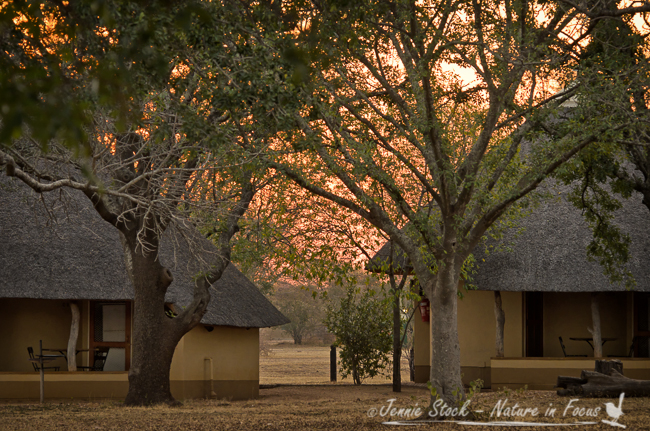 Satara camp at sunset©Jennie Stock – Nature in focus
