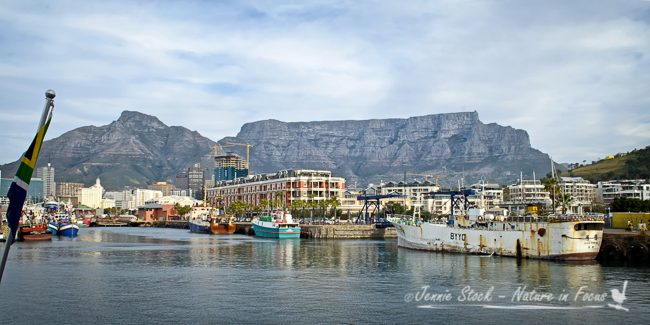 Table Mountain and Devil's Peak on the left, from the waterfront.