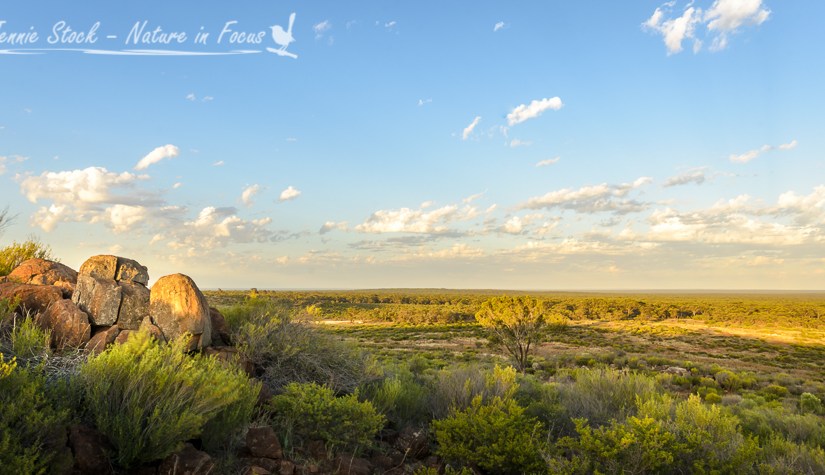 Norseman and Fraser Range&nbsp;Station