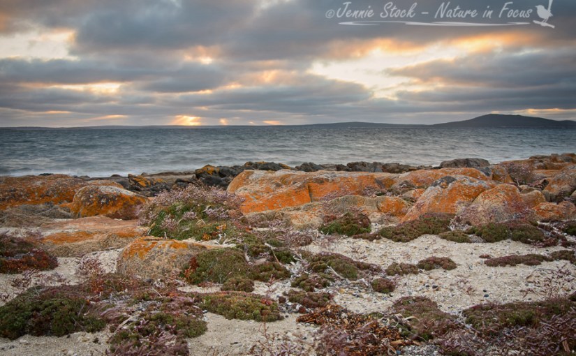 A taste of South&nbsp;Australia