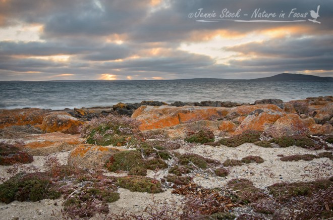Port Lincoln sunrise