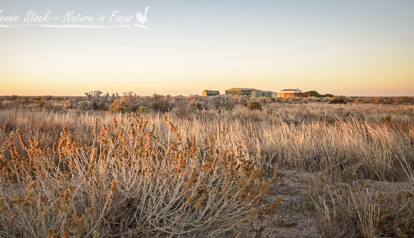 The heart of the&nbsp;Nullarbor