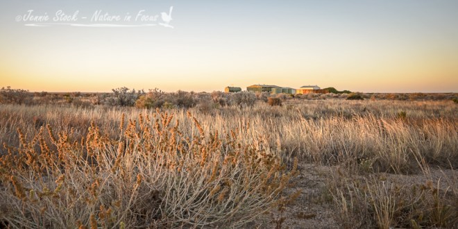 Sunset on the Nullarbor