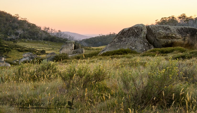 Following the Murrimbidgee (sort&nbsp;of)