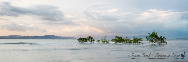 FNQ 2 – Port Douglas and Daintree&nbsp;Village